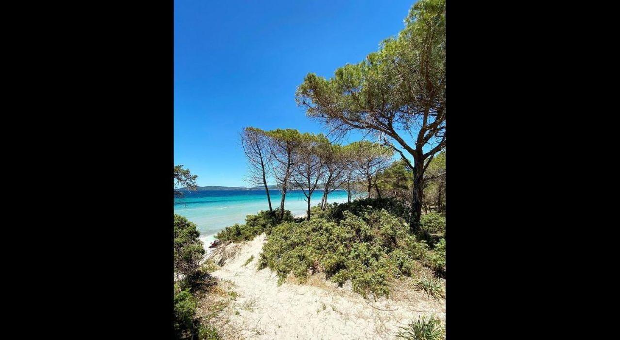 Brezza Di Mare Appartamento In Villa Con Giardino E Spiaggia ,Casa Vacanze Al Mare Quartu Sant'Elena Luaran gambar